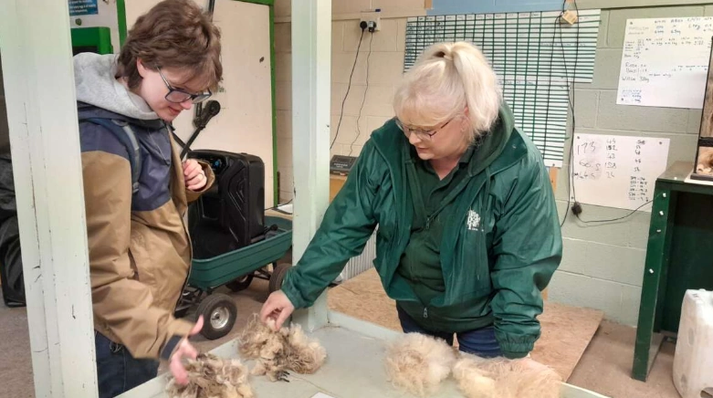 Our Home Educator Day at the farm