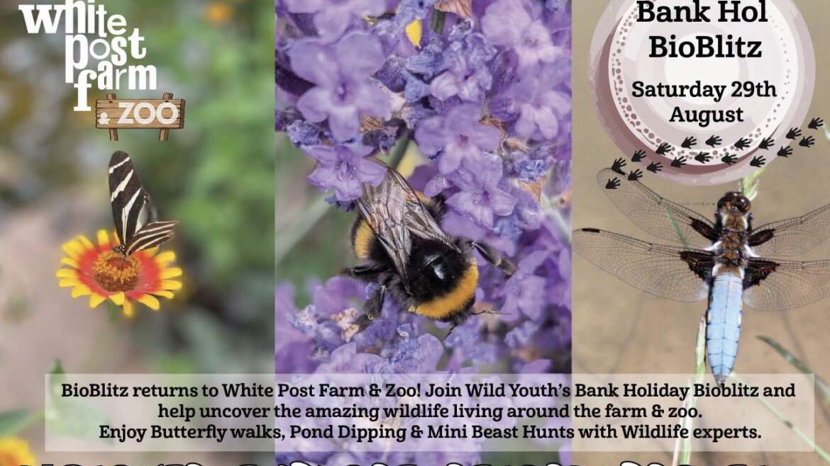 Bio Blitz with Wild Youth