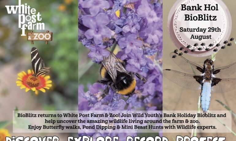 Bio Blitz with Wild Youth
